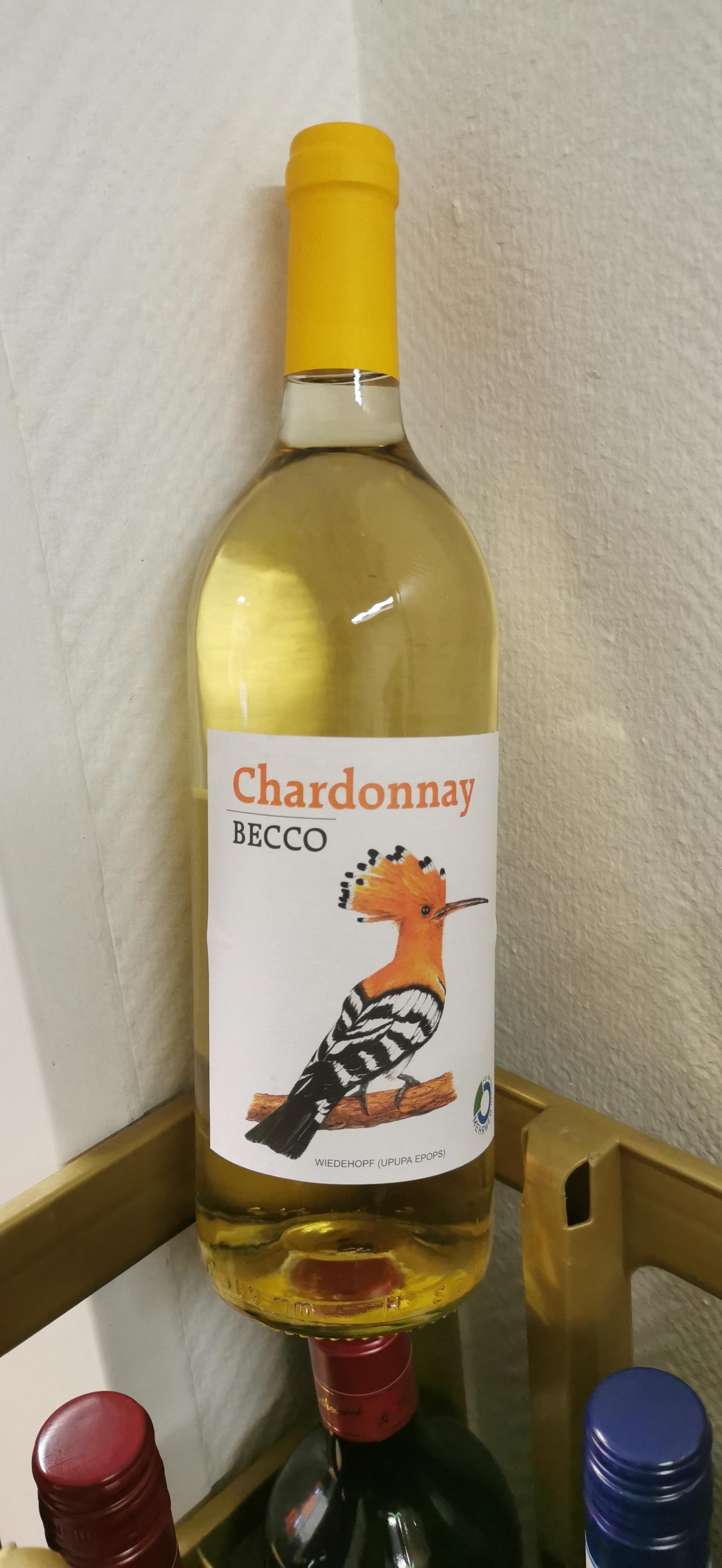 Becco Chardonnay
