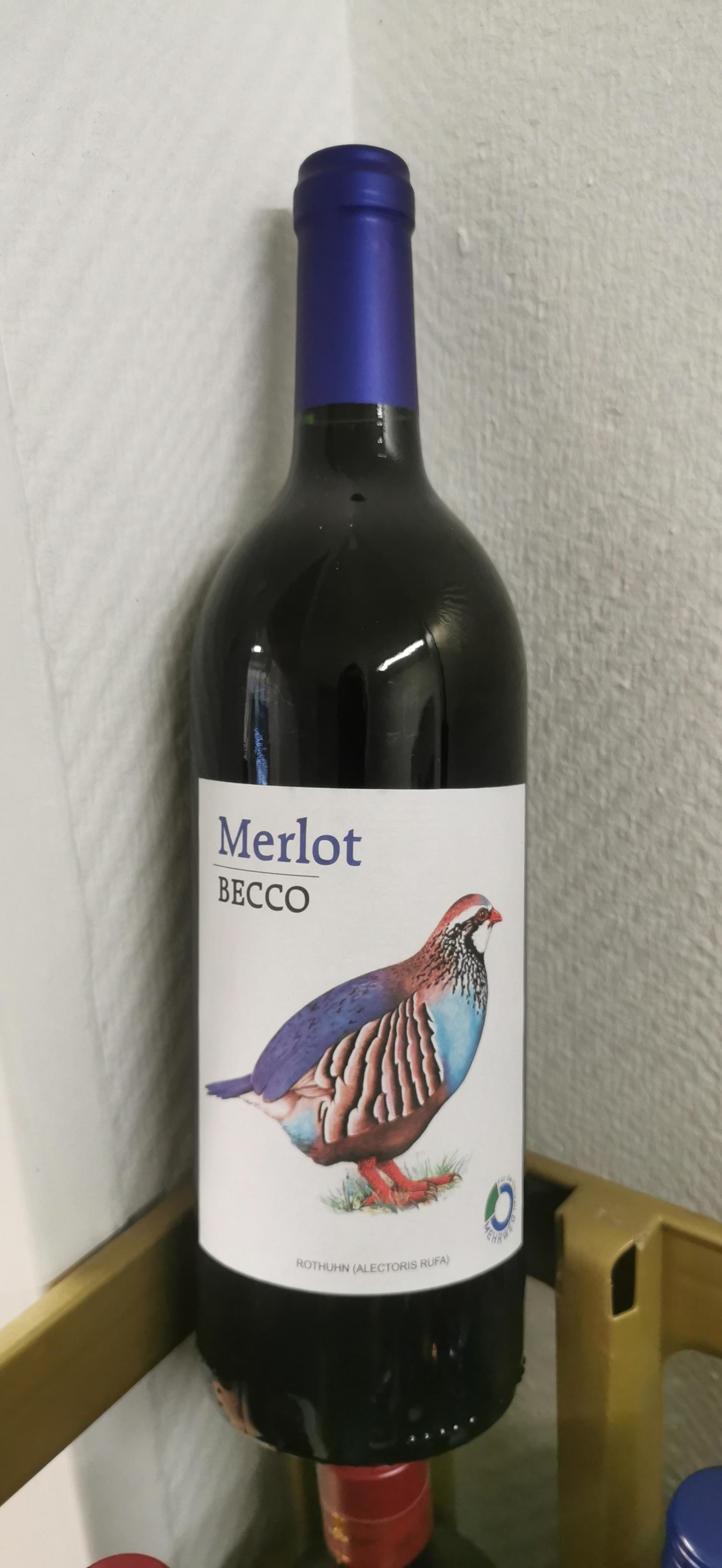Becco Merlot