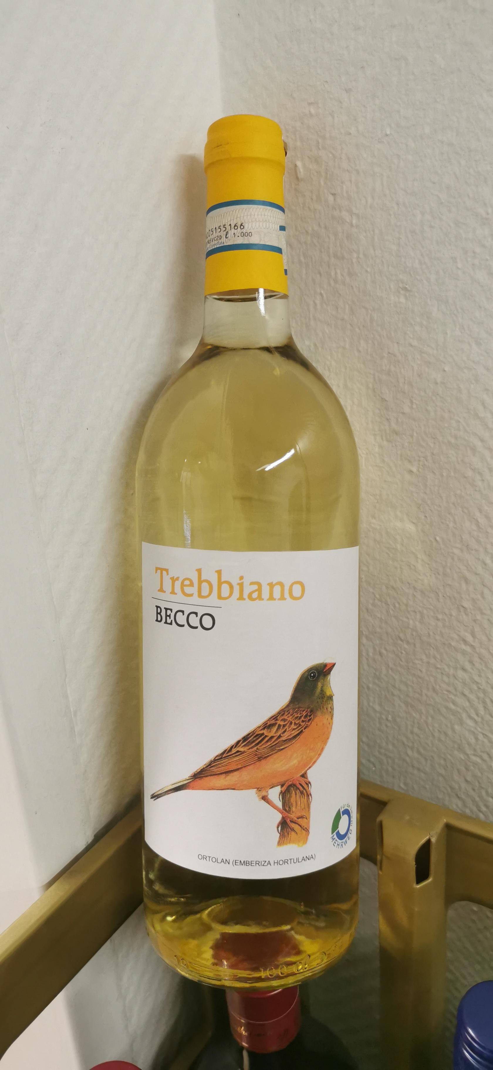 Becco Trebbiano